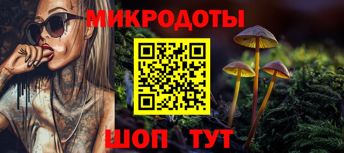 Галлюциногенные грибы прущие грибы Кольчугино